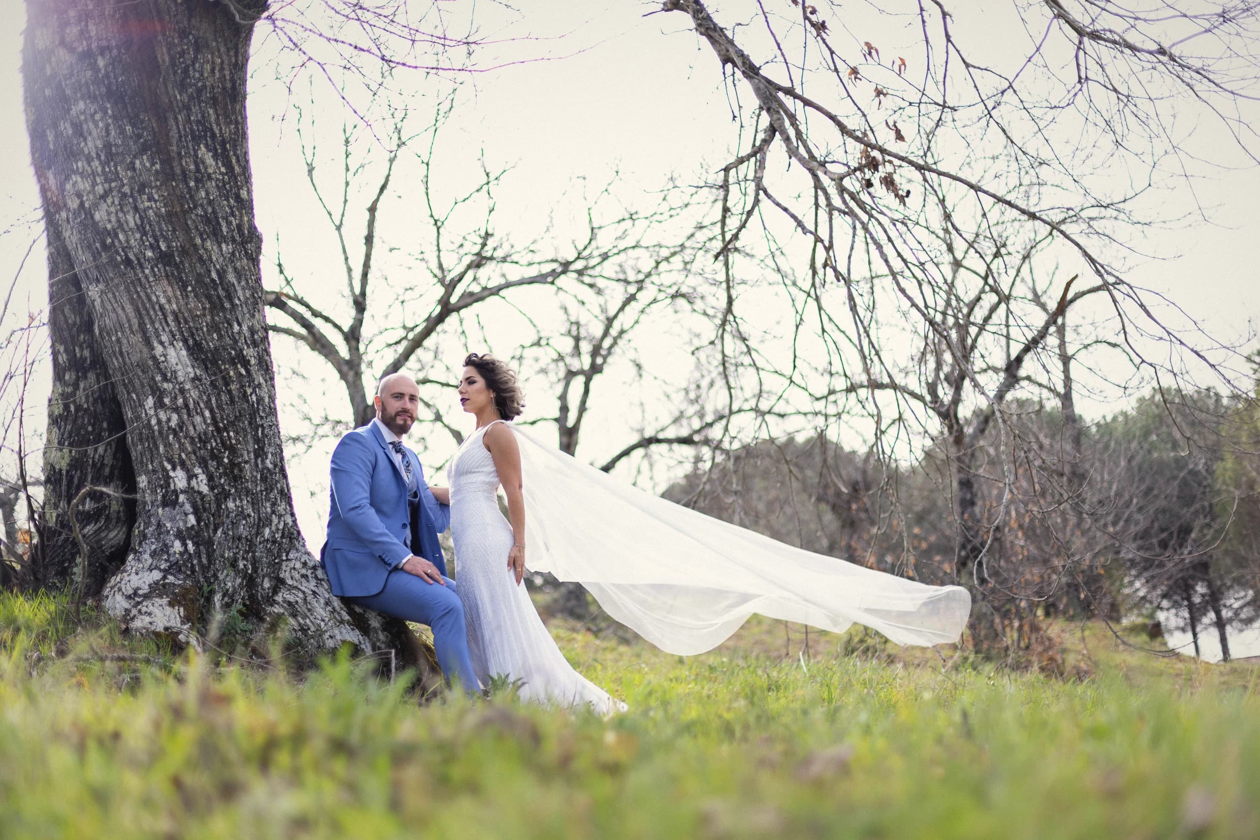 Los novios bajo un árbol con el velo volando sobre el campo