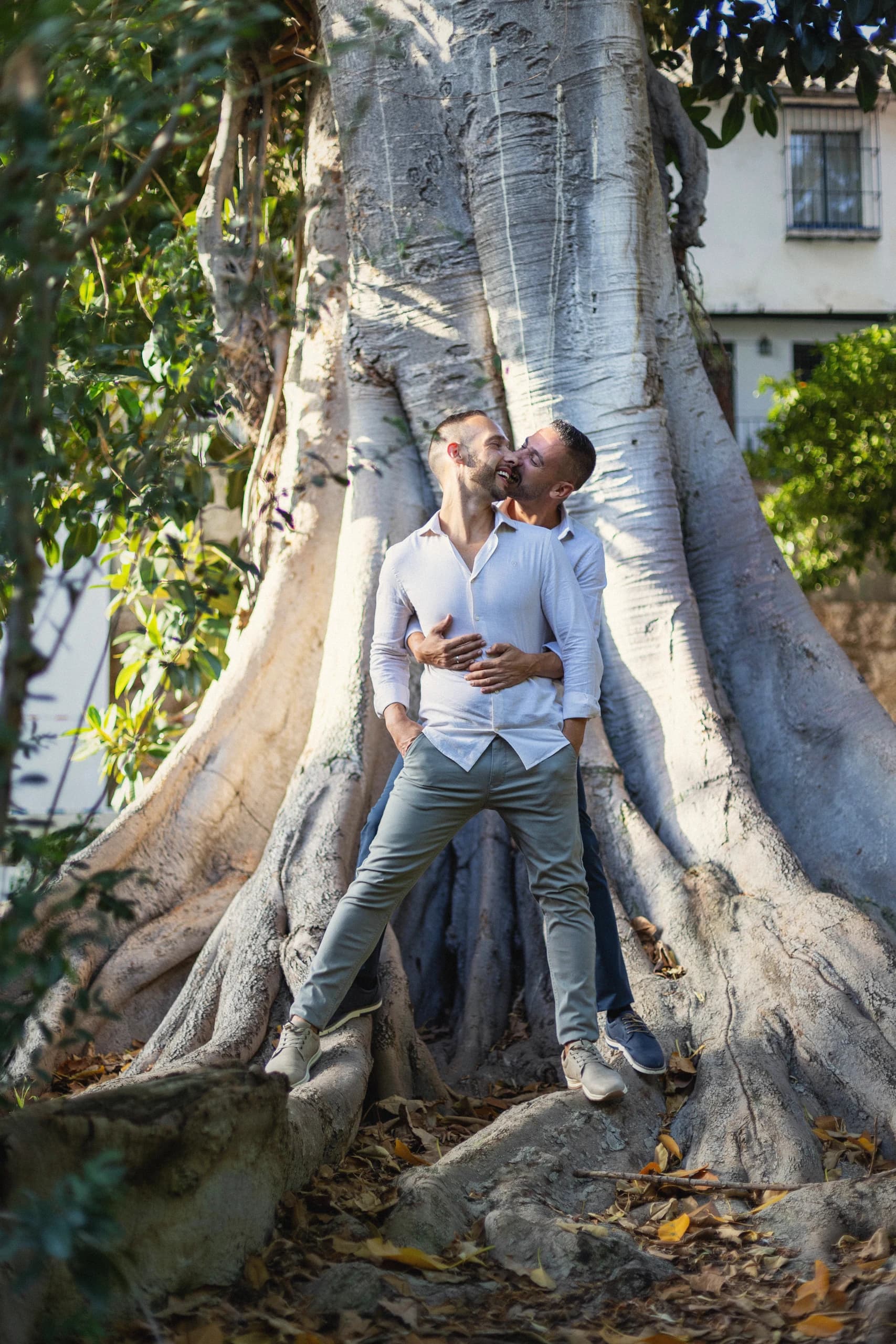 Abrazo entre las raíces del gran ficus