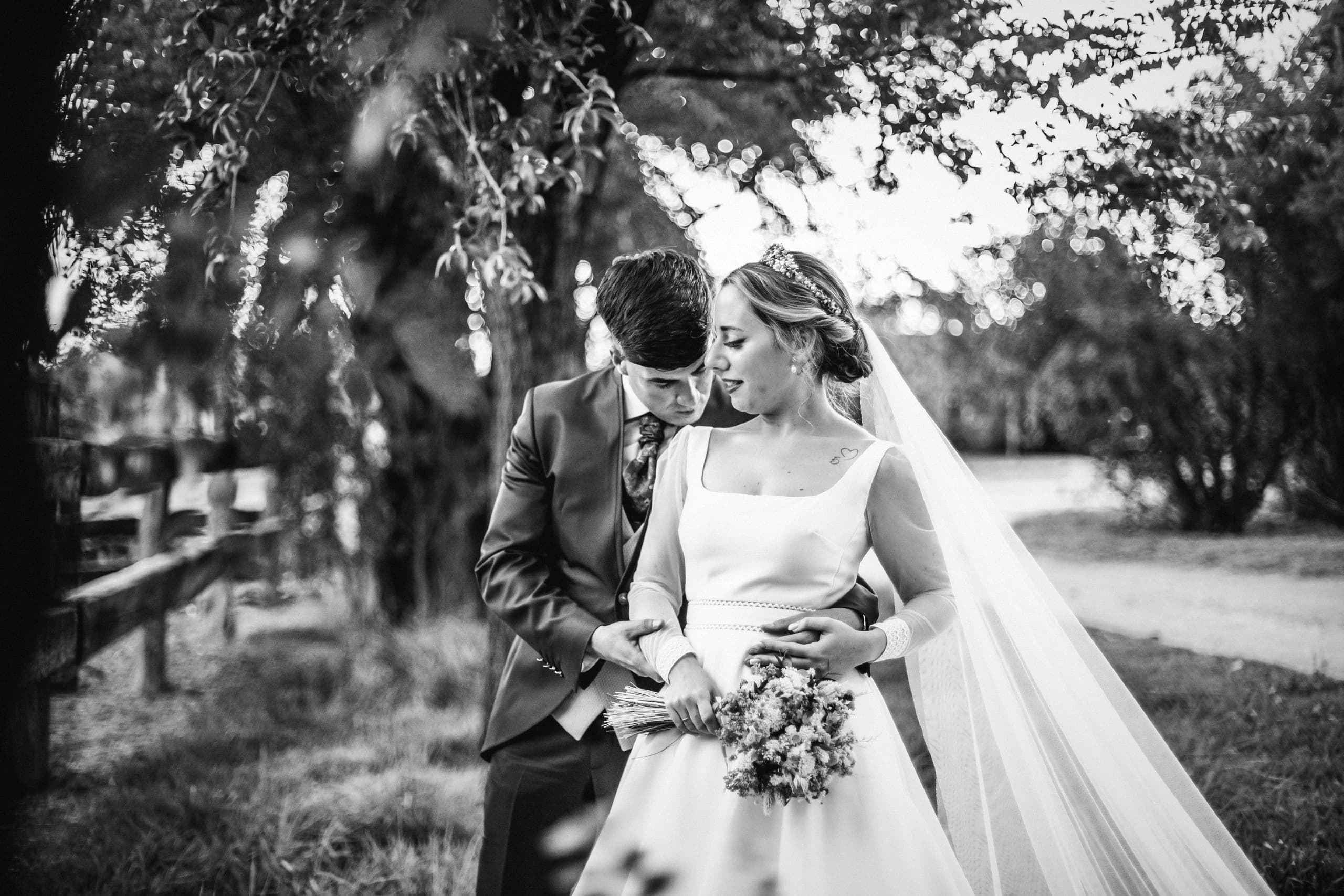 Los novios abrazados bajo el árbol, con el velo extendido, en blanco y negro