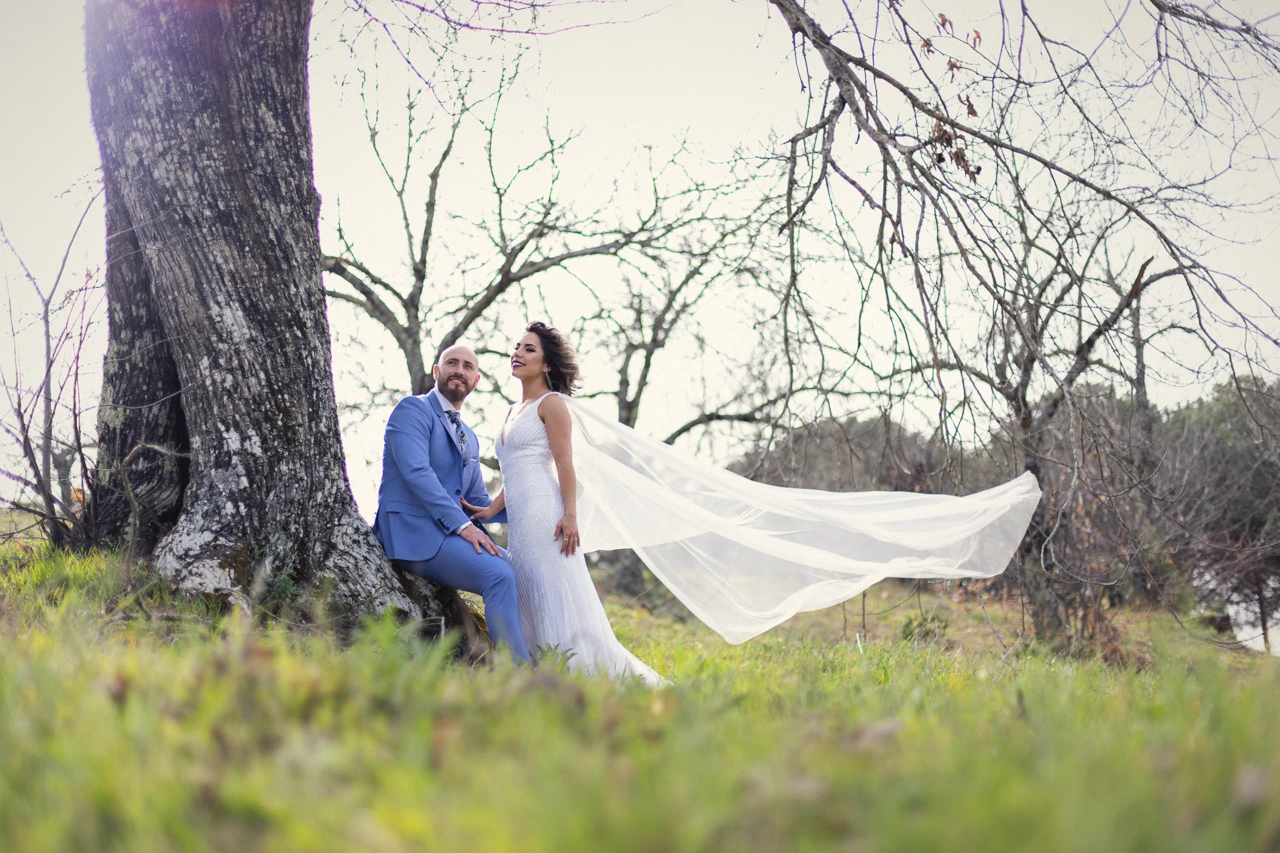 Los novios abrazados bajo un árbol desnudo, con el velo extendido por el viento sobre la hierba