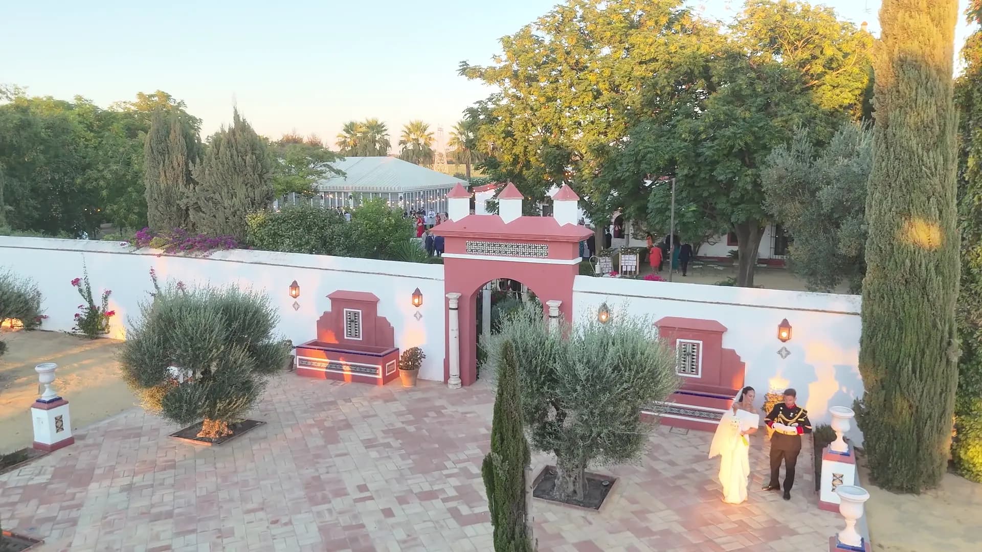 Paseo de los novios entre olivos a la hora dorada
